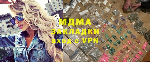 индика Дмитриев