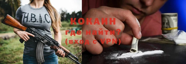 индика Дмитриев