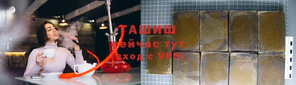 индика Дмитриев