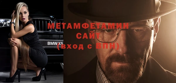 индика Дмитриев