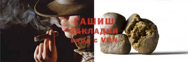 индика Дмитриев