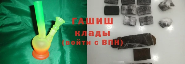 индика Дмитриев