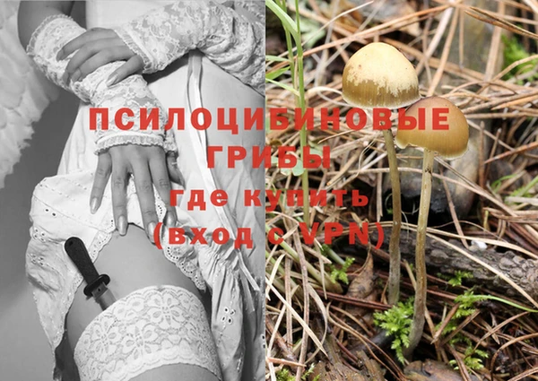 мяу мяу мука Дмитровск