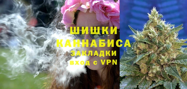 соль ск Дмитров