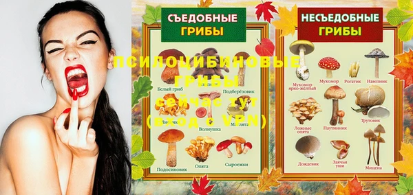 индика Дмитриев