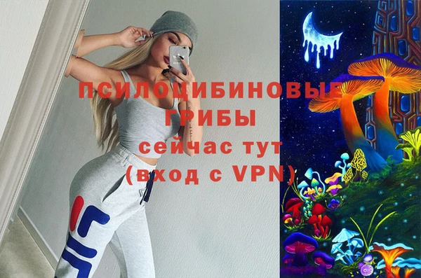 индика Дмитриев