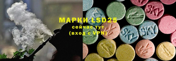 индика Дмитриев