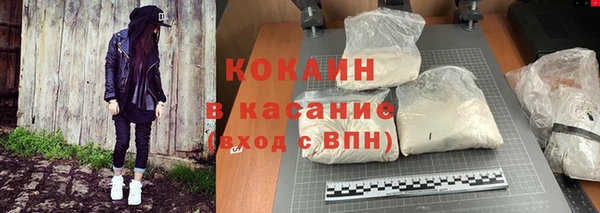 индика Дмитриев