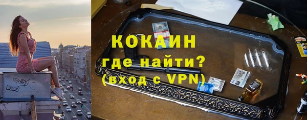 индика Дмитриев