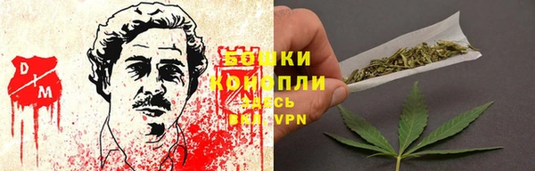 соль ск Дмитров
