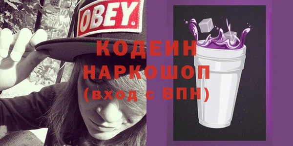 индика Дмитриев