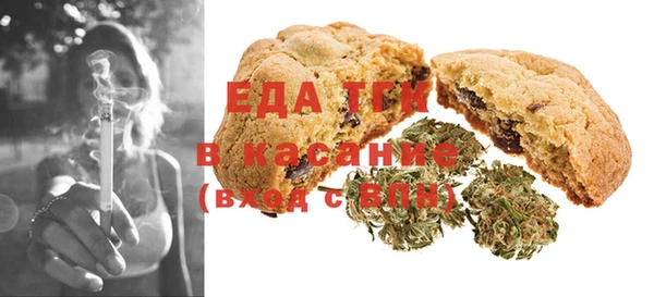индика Дмитриев