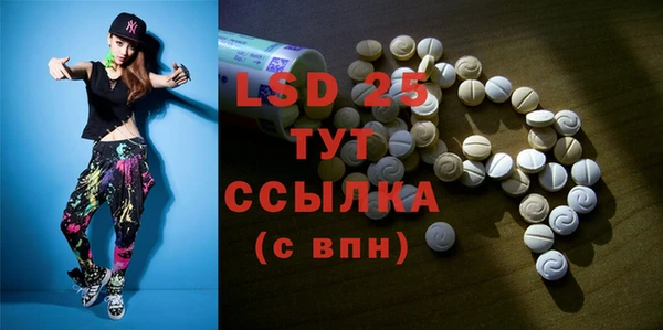 индика Дмитриев