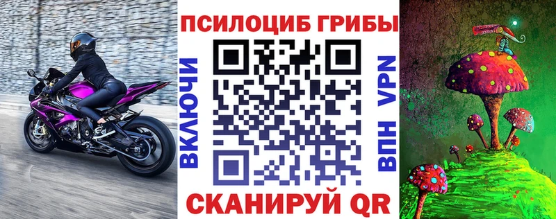 Псилоцибиновые грибы мицелий  Крымск 